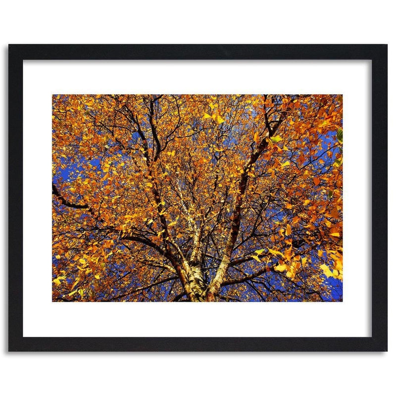 Glezna melnā rāmī - Colorful Leaves On A Tree  Home Trends