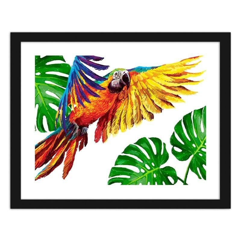 Glezna melnā rāmī - Colorful parrots  Home Trends