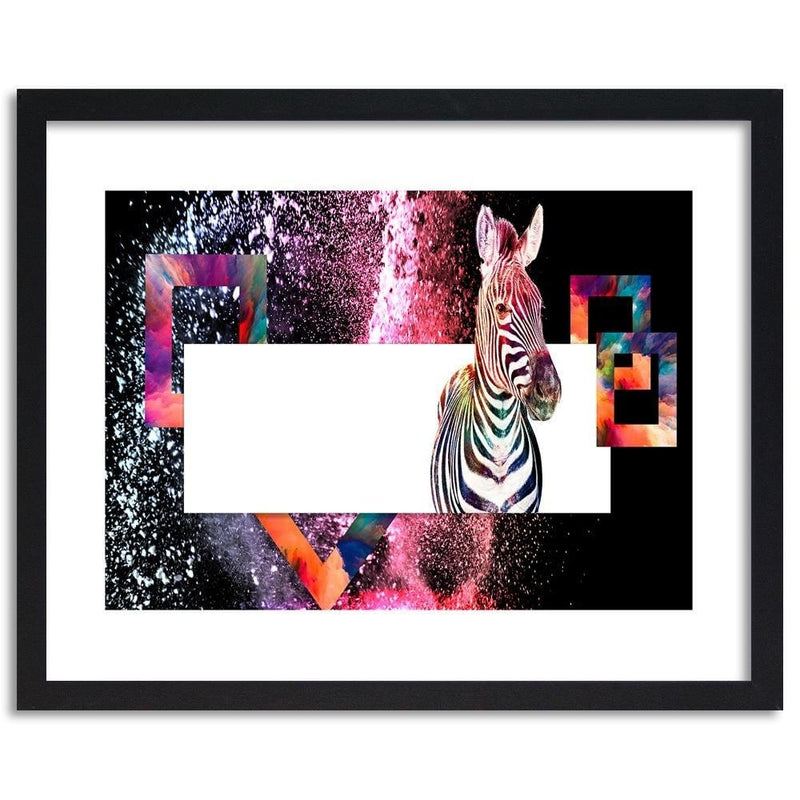 Glezna melnā rāmī - Colorful Zebra 2  Home Trends