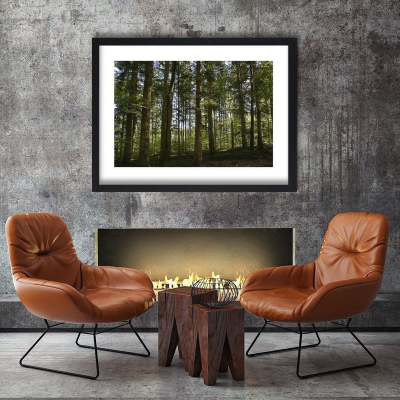 Glezna melnā rāmī - Dark Forest On A Sunny Day  Home Trends