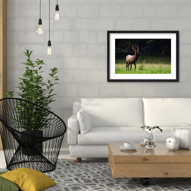 Glezna melnā rāmī - Deer In The Meadow  Home Trends