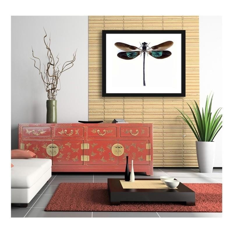 Glezna melnā rāmī - Dragonfly  Home Trends