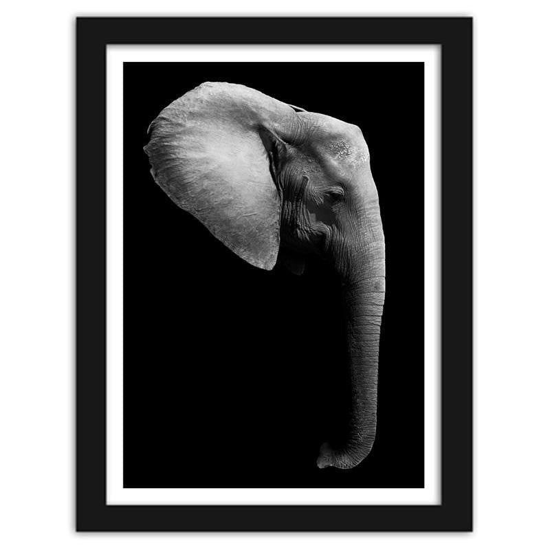 Glezna melnā rāmī - Elephant in black and white  Home Trends