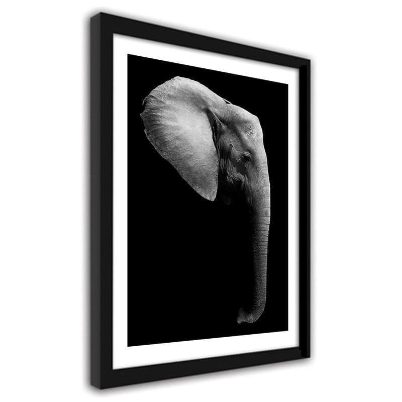 Glezna melnā rāmī - Elephant in black and white  Home Trends