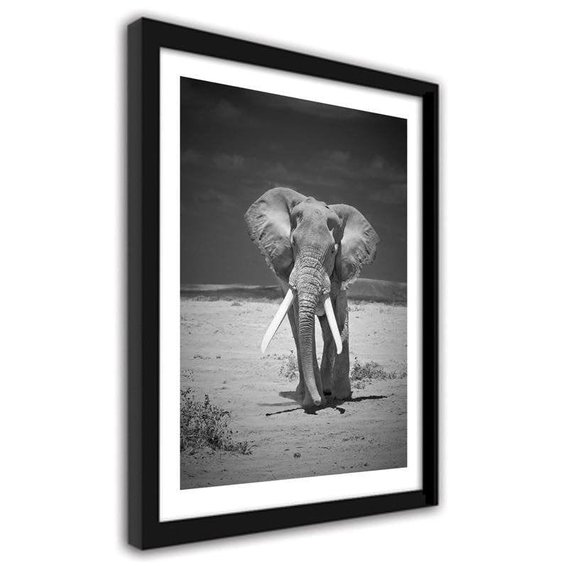 Glezna melnā rāmī - Elephant in the desert  Home Trends