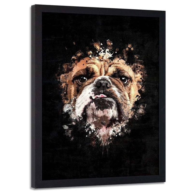 Glezna melnā rāmī - English Bulldog  Home Trends