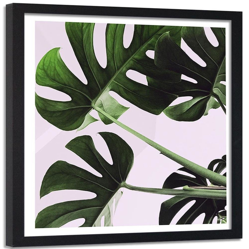 Glezna melnā rāmī - Exotic Leaves Monstera 1  Home Trends