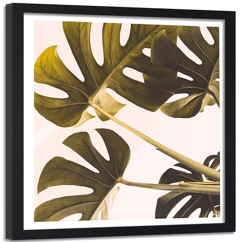 Glezna melnā rāmī - Exotic Leaves Monstera 2  Home Trends