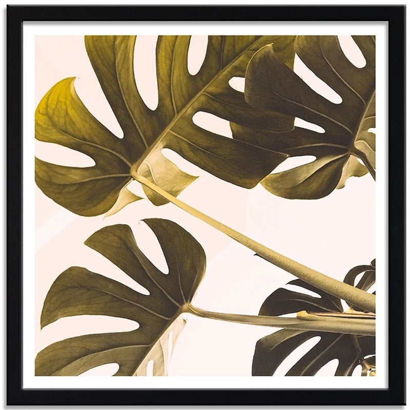 Glezna melnā rāmī - Exotic Leaves Monstera 2  Home Trends