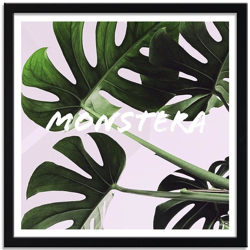 Glezna melnā rāmī - Exotic Leaves Monstera  Home Trends