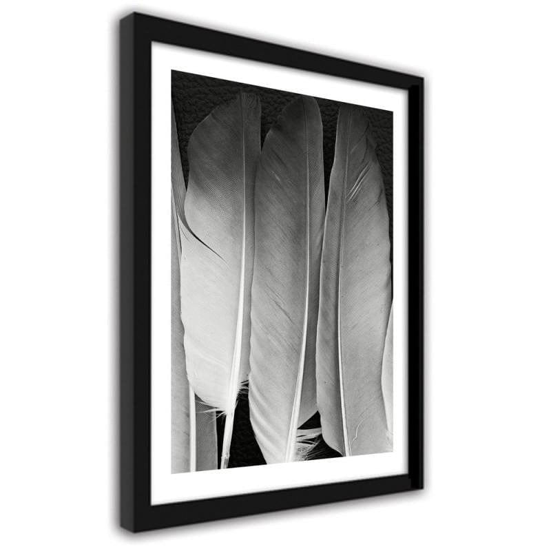 Glezna melnā rāmī - Feathers in black and white  Home Trends