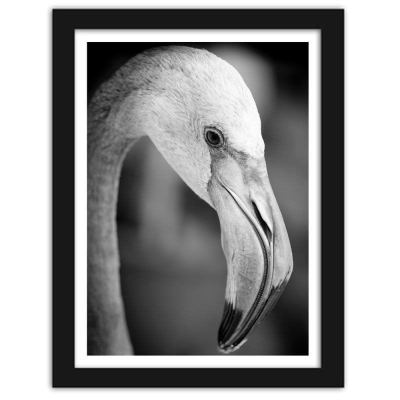 Glezna melnā rāmī - Flamingo in black and white  Home Trends