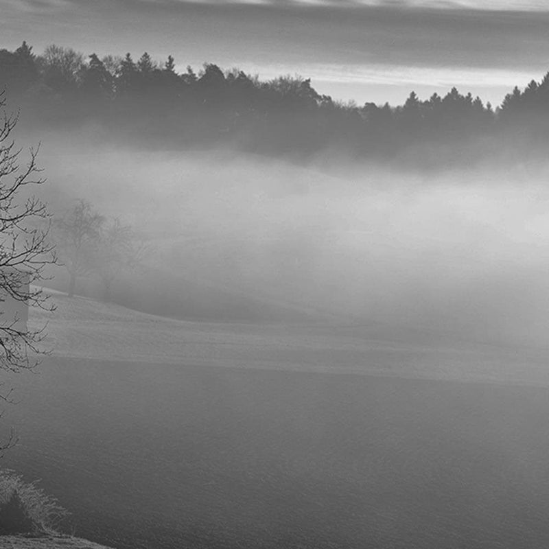 Glezna melnā rāmī - Fog Over The Lake 2  Home Trends