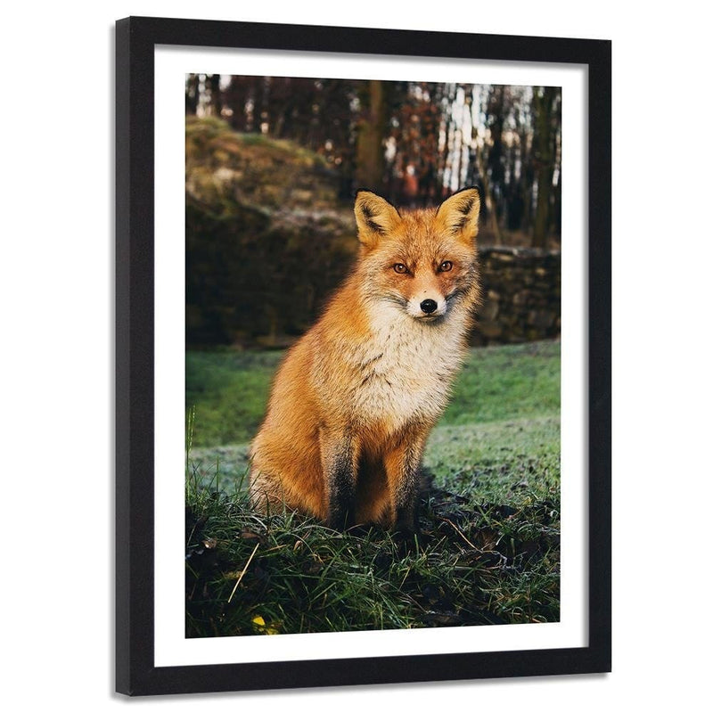 Glezna melnā rāmī - Fox In The Woods  Home Trends