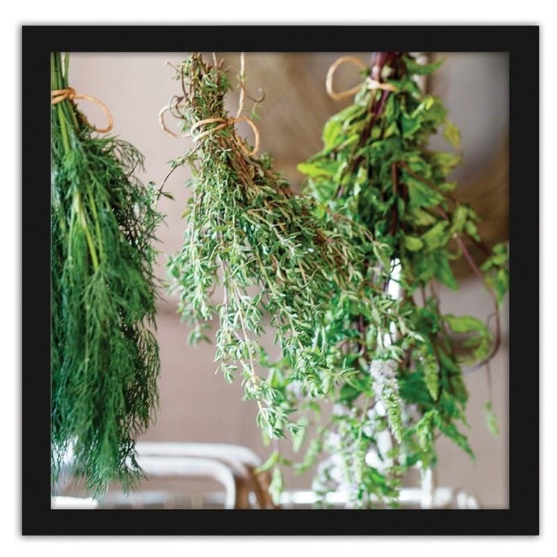 Glezna melnā rāmī - Fresh herbs 2  Home Trends