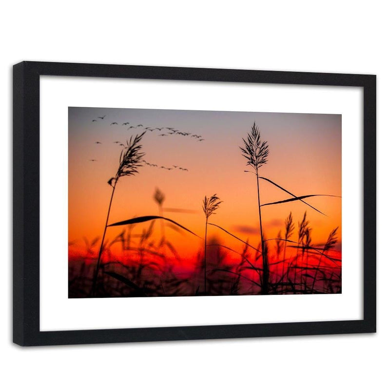 Glezna melnā rāmī - Grass At Sunset  Home Trends