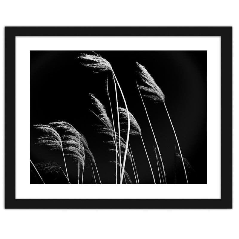 Glezna melnā rāmī - Grass in black and white  Home Trends