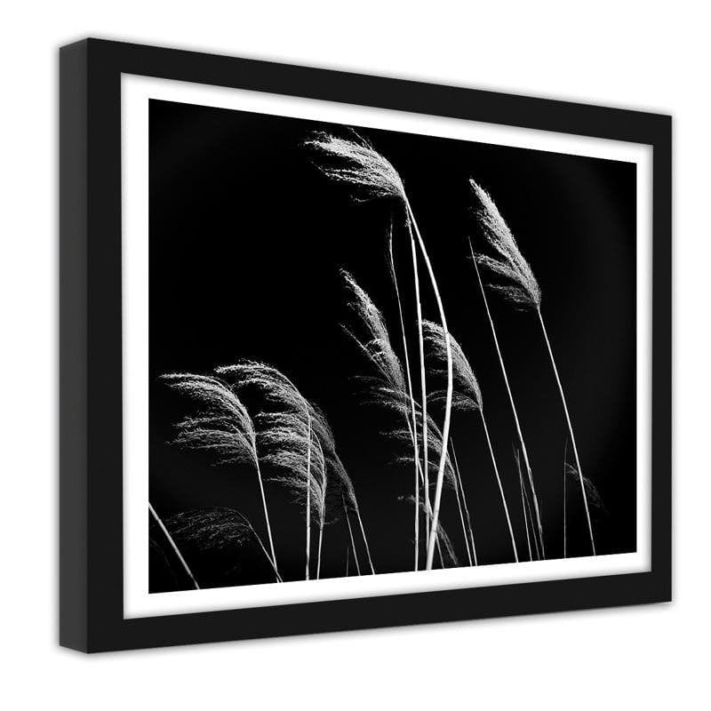 Glezna melnā rāmī - Grass in black and white  Home Trends