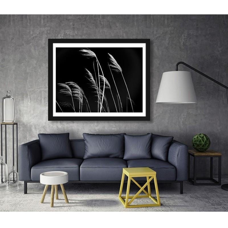 Glezna melnā rāmī - Grass in black and white  Home Trends