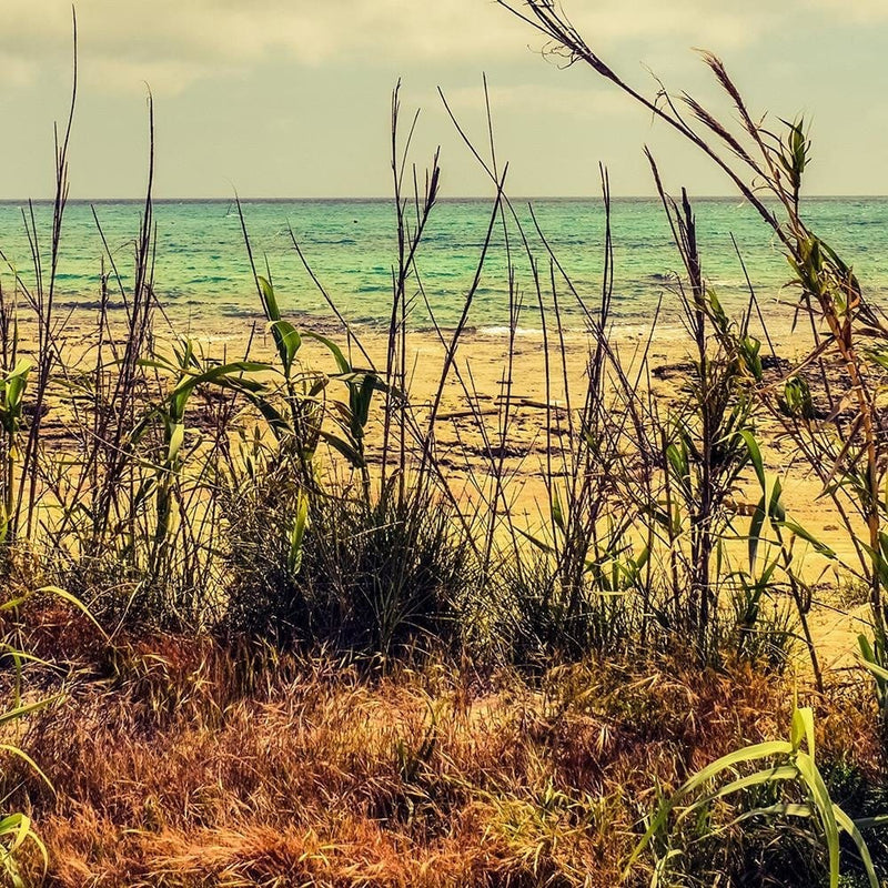 Glezna melnā rāmī - Grass Over Blue Sea  Home Trends