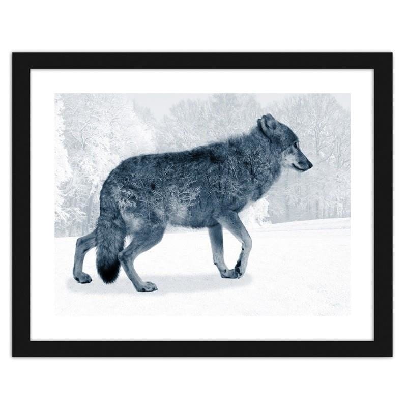 Glezna melnā rāmī - Grey wolf  Home Trends