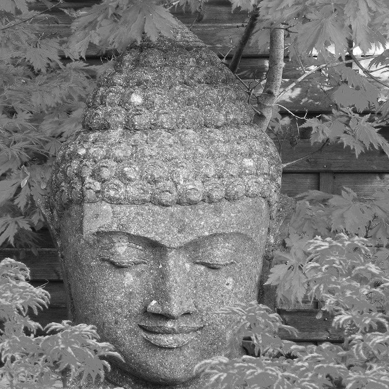 Glezna melnā rāmī - Head Of Buddha Among The Leaves  Home Trends