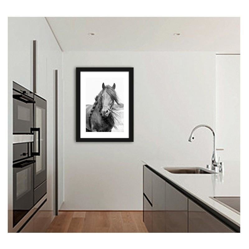 Glezna melnā rāmī - Horse 4  Home Trends