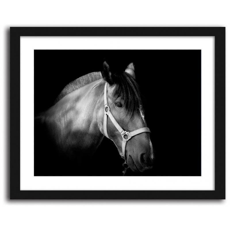 Glezna melnā rāmī - Horse on black background  Home Trends