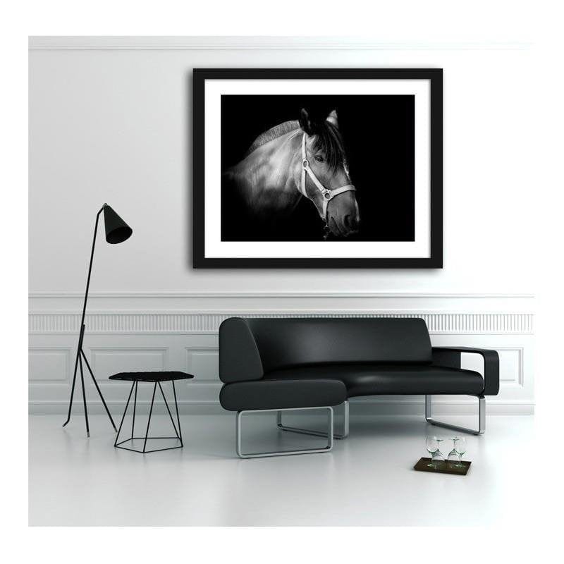 Glezna melnā rāmī - Horse on black background  Home Trends