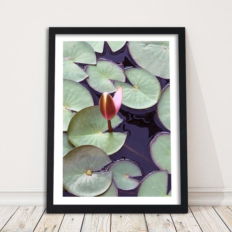 Glezna melnā rāmī - Leaves Of Water Lilies  Home Trends