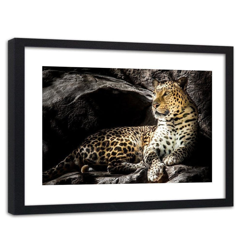 Glezna melnā rāmī - Leopard On The Rocks  Home Trends