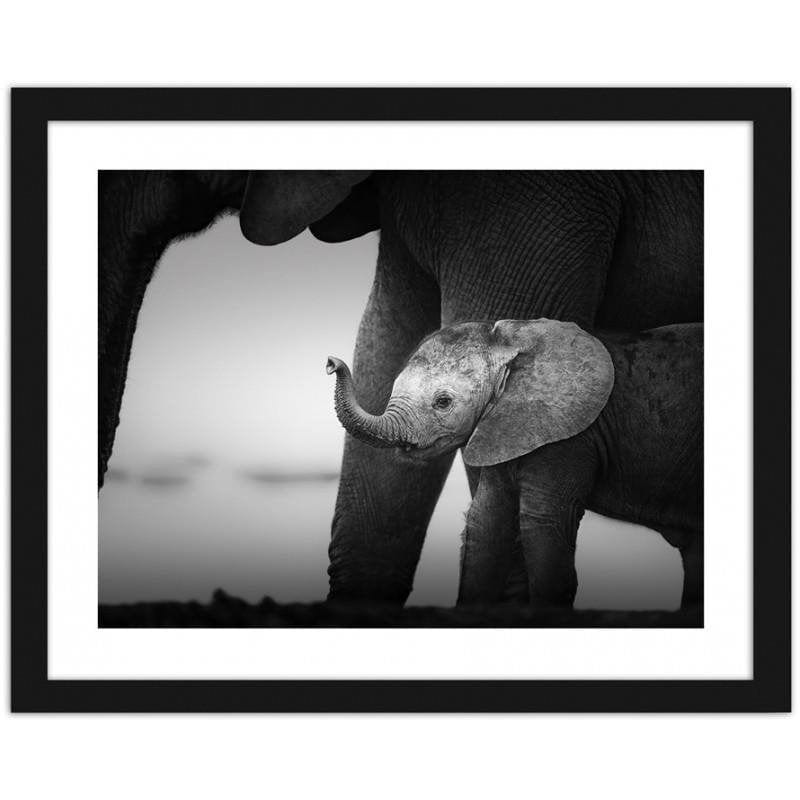 Glezna melnā rāmī - Little elephant 2  Home Trends