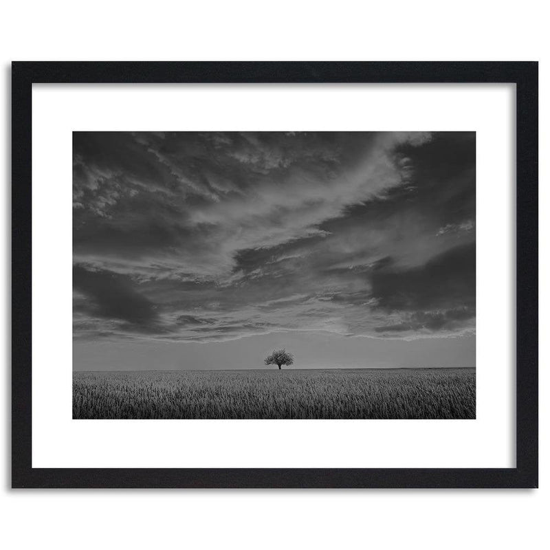 Glezna melnā rāmī - Lone Tree In Field 2  Home Trends