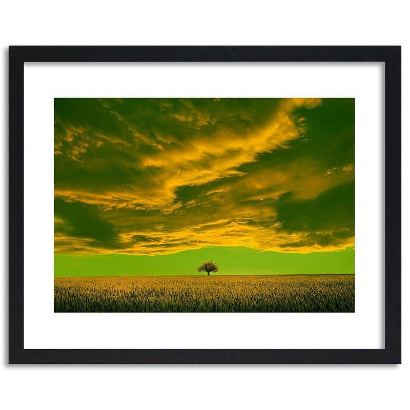 Glezna melnā rāmī - Lone Tree In Field 3  Home Trends