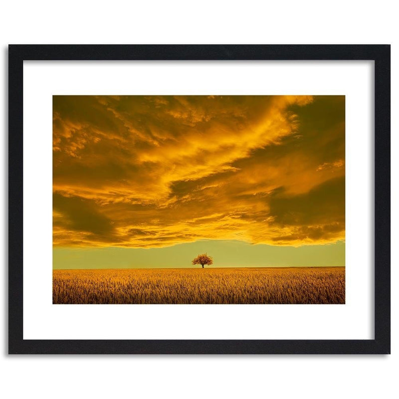 Glezna melnā rāmī - Lone Tree In Field 4  Home Trends