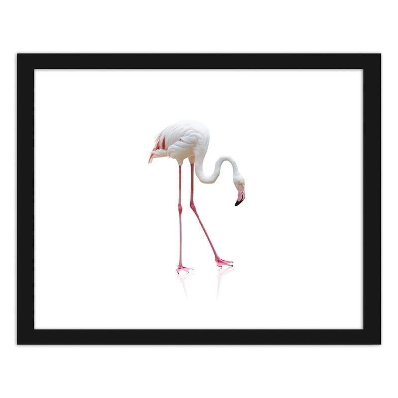 Glezna melnā rāmī - Lonely flamingo  Home Trends