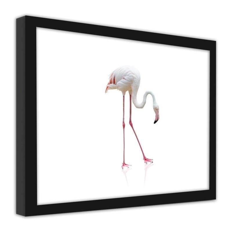 Glezna melnā rāmī - Lonely flamingo  Home Trends