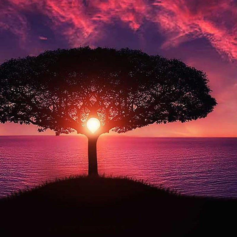 Glezna melnā rāmī - Lonely Tree At Sunset  Home Trends