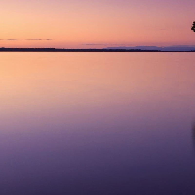 Glezna melnā rāmī - Lonely Tree On The Lake  Home Trends