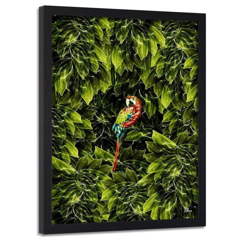 Glezna melnā rāmī - Macaw Tropical Green  Home Trends