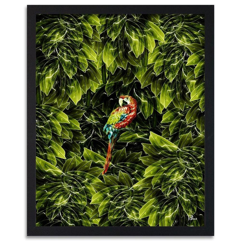 Glezna melnā rāmī - Macaw Tropical Green  Home Trends