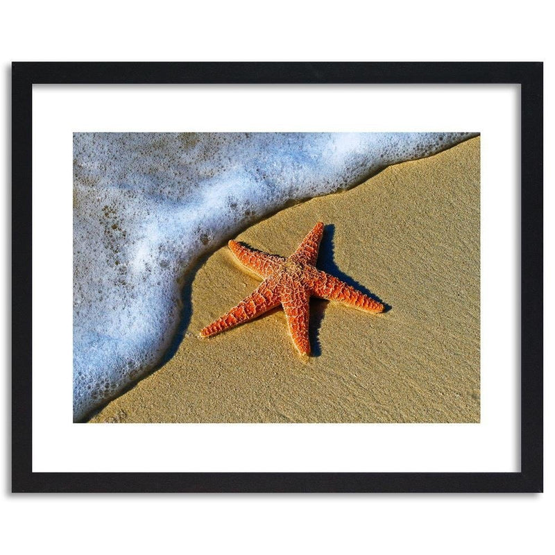 Glezna melnā rāmī - Orange Starfish  Home Trends