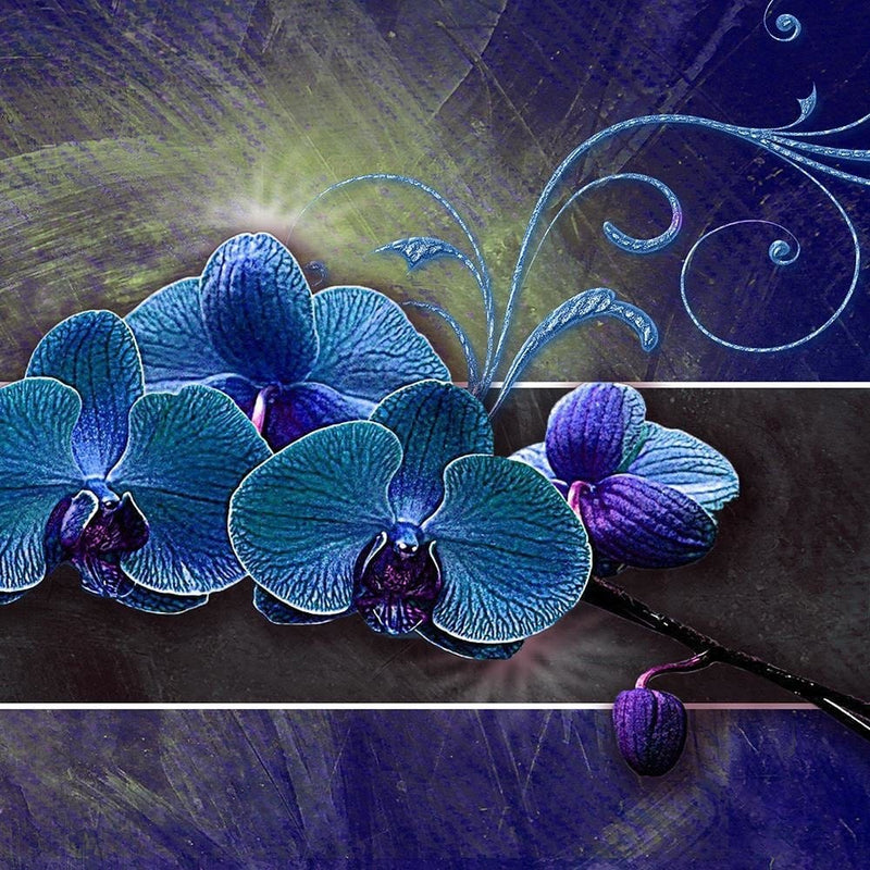 Glezna melnā rāmī - Orchid Color Blue  Home Trends