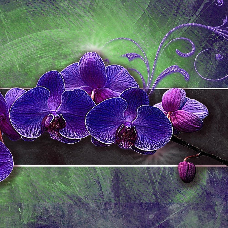 Glezna melnā rāmī - Orchid Purple  Home Trends