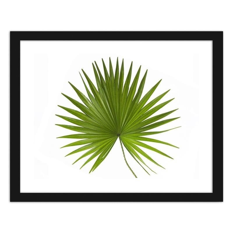 Glezna melnā rāmī - Palm leaf  Home Trends