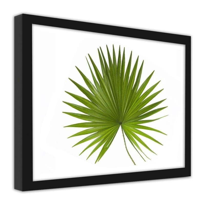 Glezna melnā rāmī - Palm leaf  Home Trends