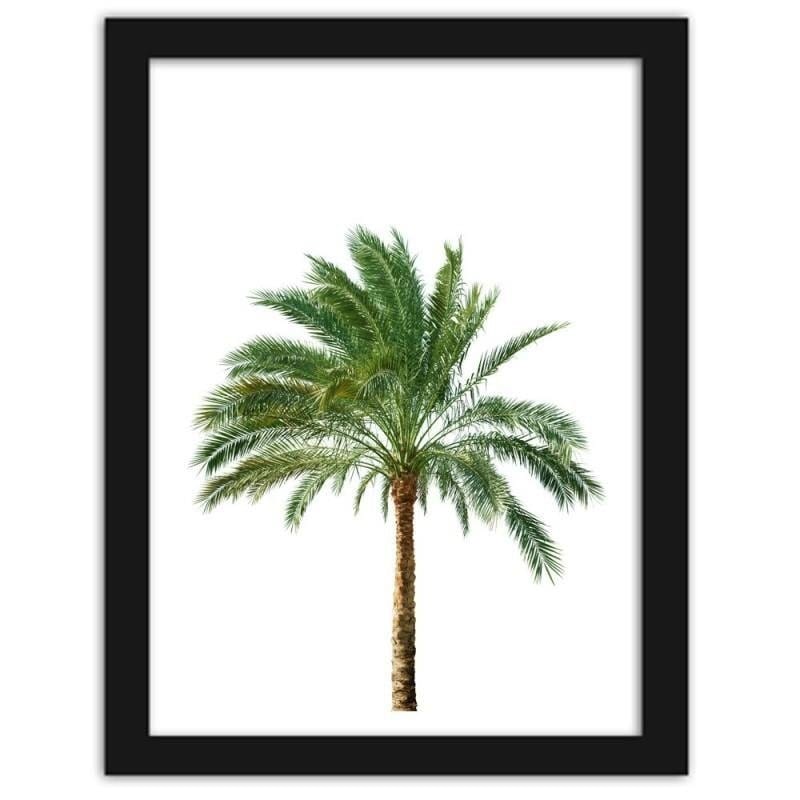 Glezna melnā rāmī - Palm on white background  Home Trends