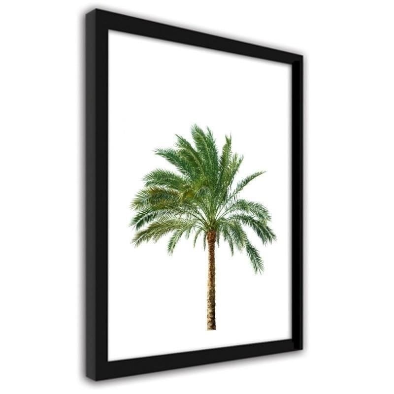 Glezna melnā rāmī - Palm on white background  Home Trends