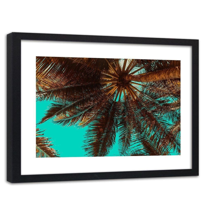 Glezna melnā rāmī - Palm Tree On A Turquoise Sky  Home Trends