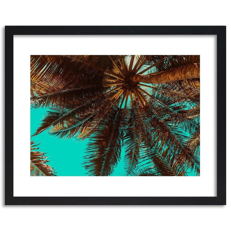 Glezna melnā rāmī - Palm Tree On A Turquoise Sky  Home Trends